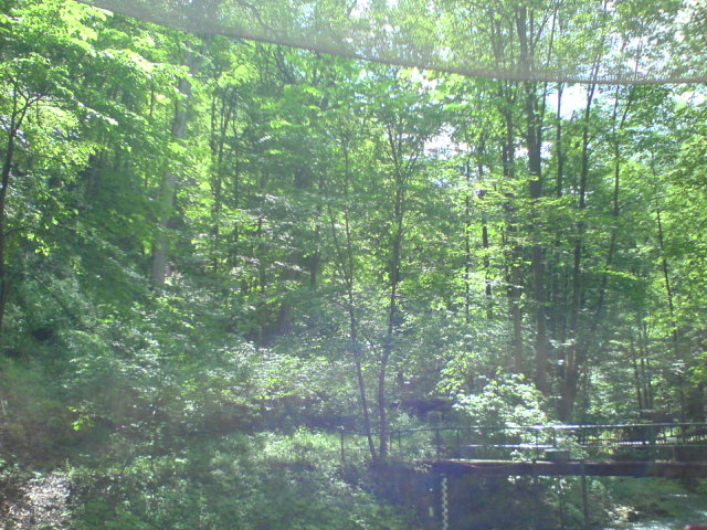 DSC00262.JPG