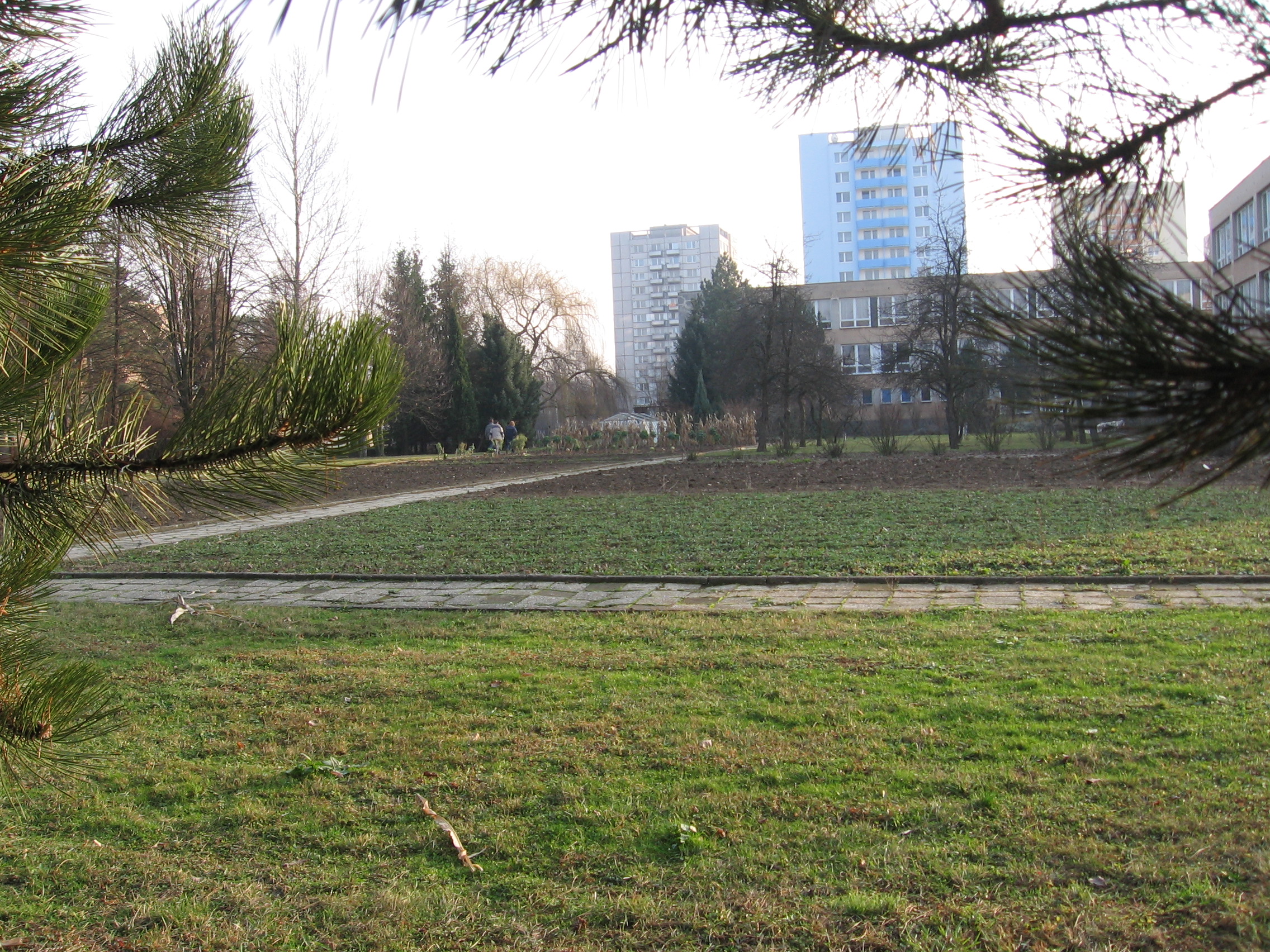 fotky 169.jpg
